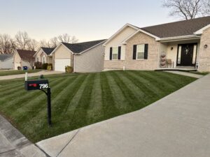 How are you tending to your lawns (relationships)?